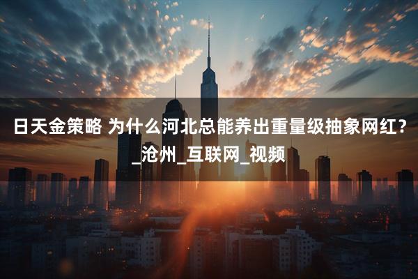 日天金策略 为什么河北总能养出重量级抽象网红？_沧州_互联网_视频