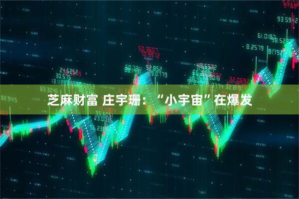 芝麻财富 庄宇珊：“小宇宙”在爆发