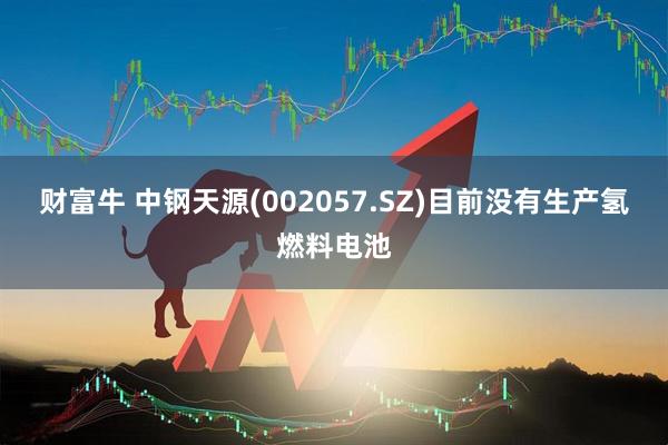 财富牛 中钢天源(002057.SZ)目前没有生产氢燃料电池